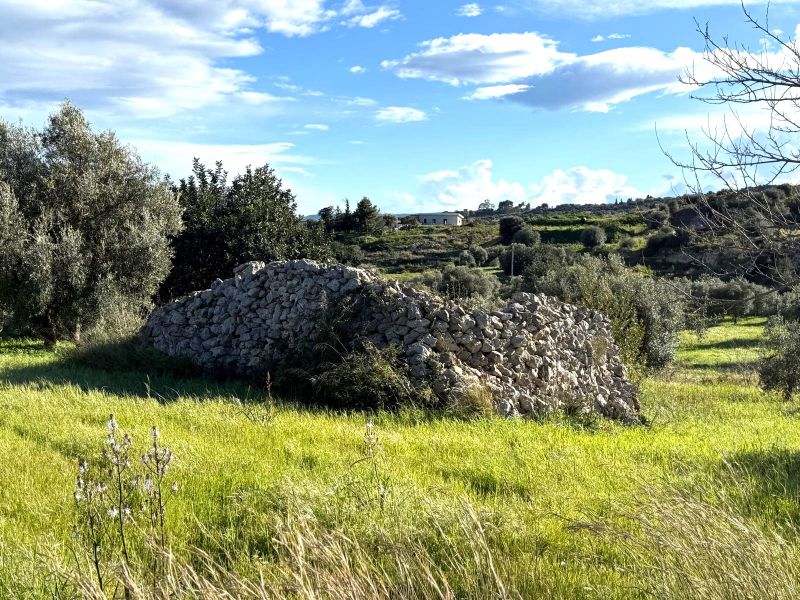 FLORIDIA �€" TERRENO...